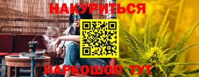 гашик Камышлов