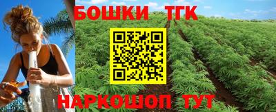гашик Камышлов