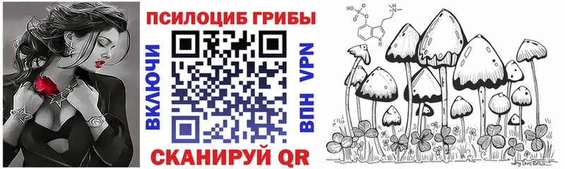 Галлюциногенные грибы Psilocybine cubensis  Похвистнево 