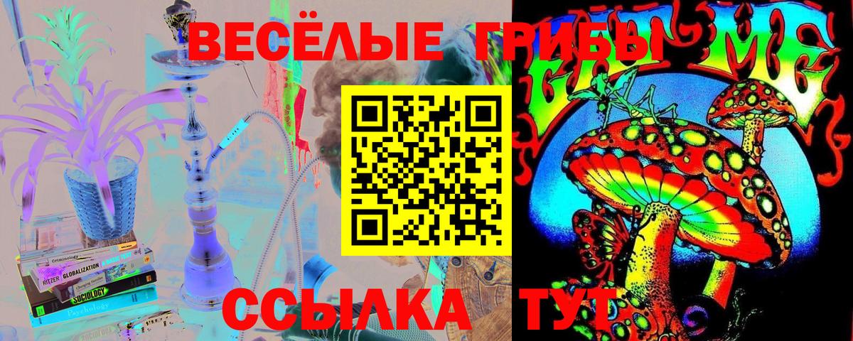 Галлюциногенные грибы GOLDEN TEACHER  Галлюциногенные грибы MAGIC MUSHROOMS  Похвистнево  Вход с VPN 